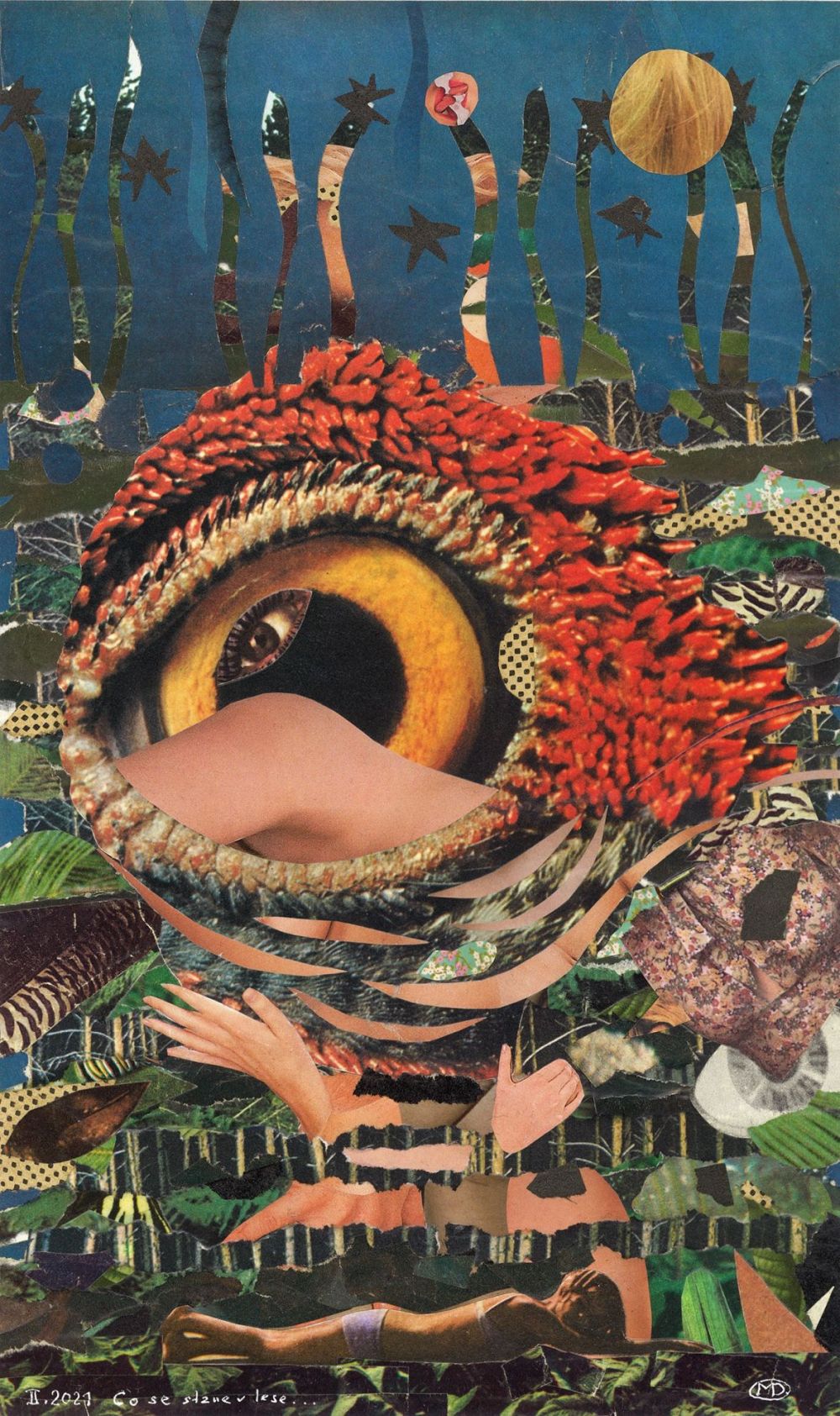 Que se passe-t-il dans la forêt ...