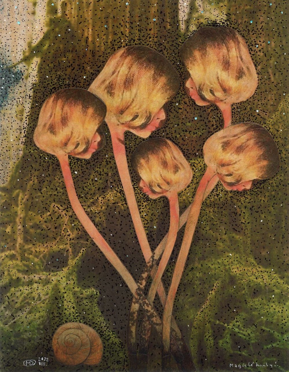 Champignons magiques...