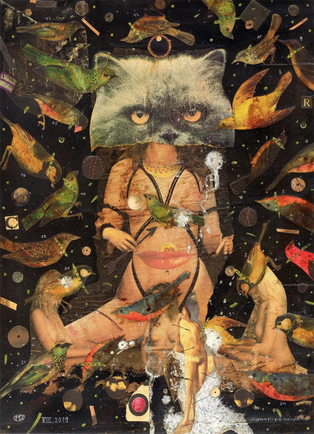 Ne pense pas à revenir ...