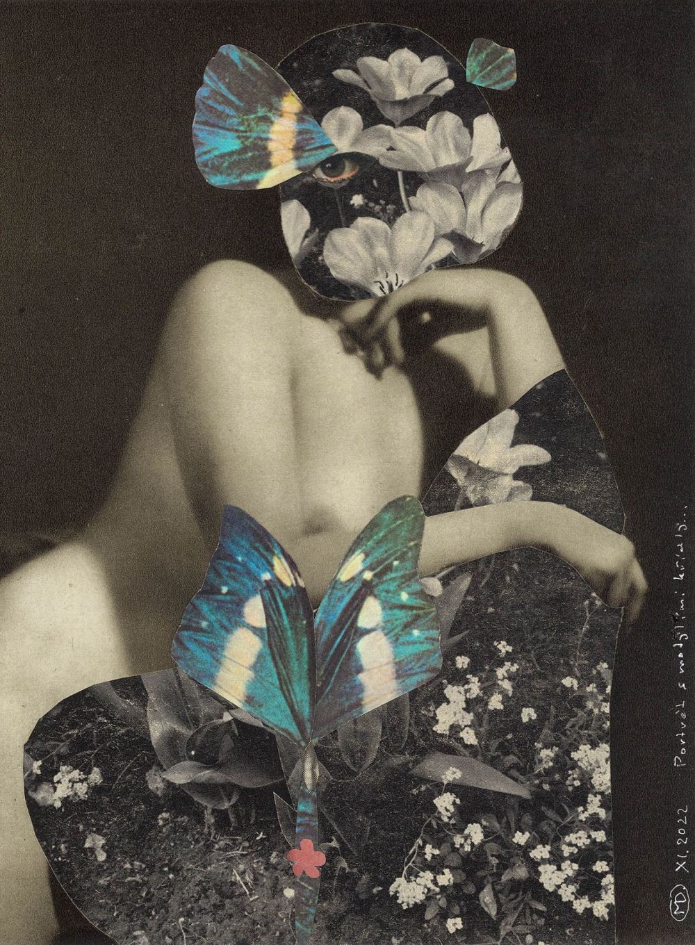 Portrait aux ailes de papillon...