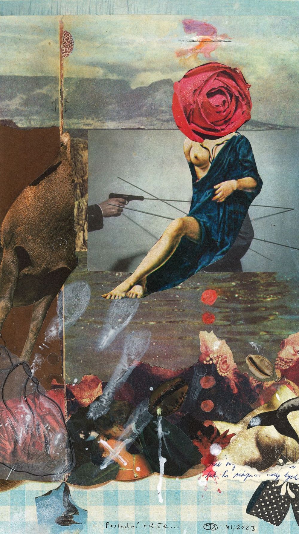 La dernière rose...