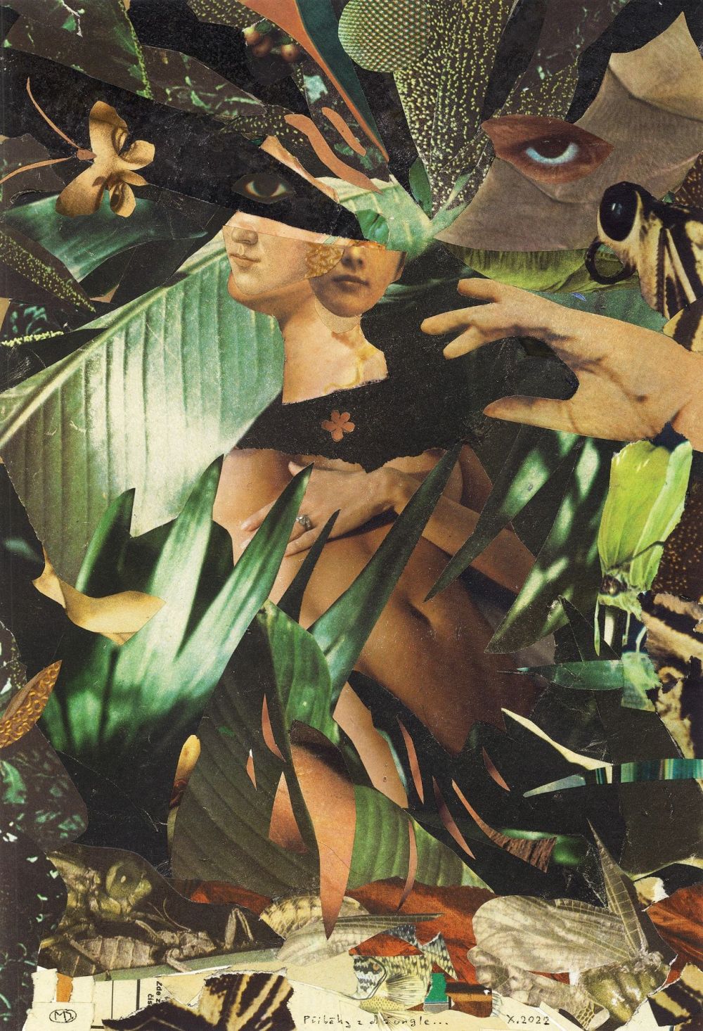 Contes de la jungle...