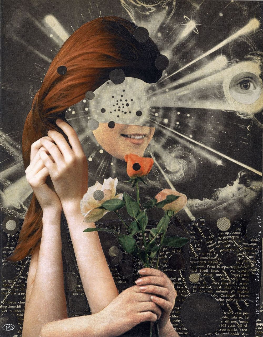 La rose de Schrödinger...