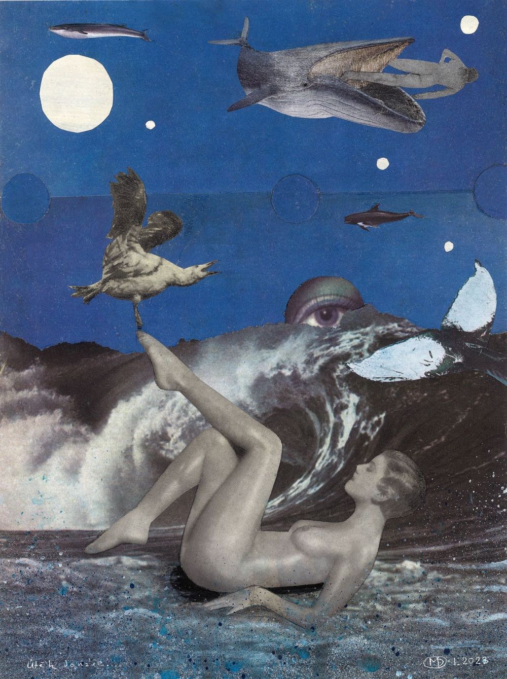 L'évasion de Jonas...